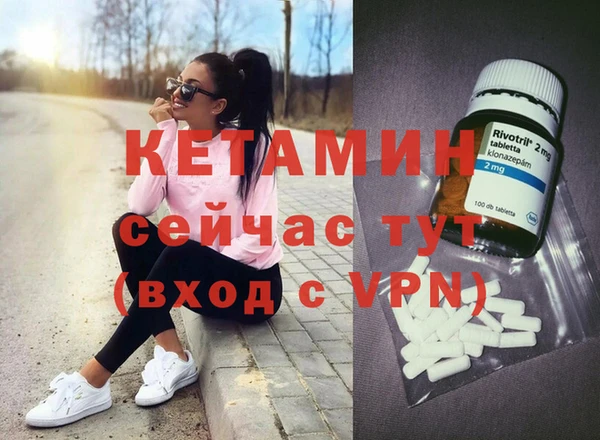 шишки Каменка