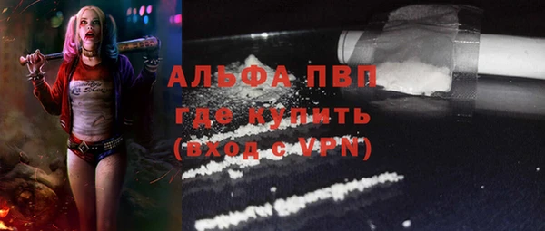 эйфоретик Иннополис