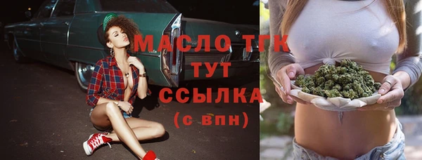 шишки Каменка