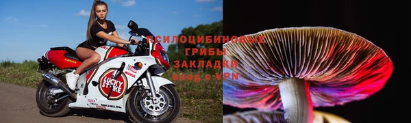соль курить ск Инсар