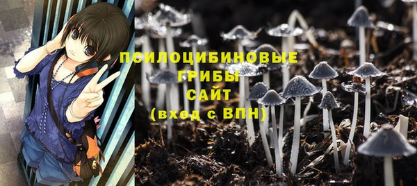 эйфоретик Иннополис