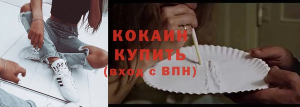 шишки Каменка