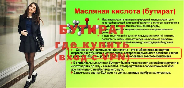 шишки Каменка