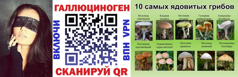 Псилоцибиновые грибы Psilocybe  Ипатово 