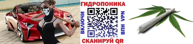 Каннабис Bruce Banner  Ипатово 